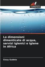 Le dimensioni dimenticate di acqua, servizi igienici e igiene in Africa af Sisay Gudeta