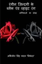 Rangeen Jindagi Ke Black And White Rang af Abhijeet Singh Yadav