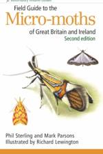 Field Guide to the Micro-moths of Great Britain and Ireland: 2nd edition af Dr Phil Sterling