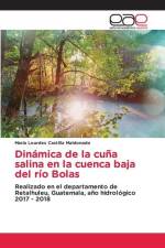 Dinámica de la cuña salina en la cuenca baja del río Bolas af María Lourdes Castilla Maldonado