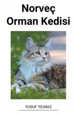 Norveç Orman Kedisi af Yusuf Yilmaz