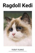 Ragdoll Kedi af Yusuf Yilmaz