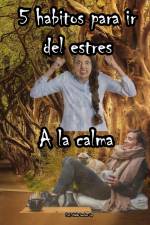 5 Hábitos para ir del caos a la calma af Ubaldo Sánchez Gutiérrez