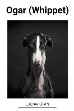 Ogar (Whippet) af Lucian Stan