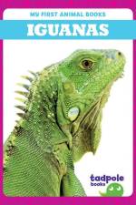Iguanas