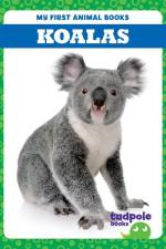 Koalas af Natalie Deniston