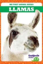 Llamas af Marie Brandle
