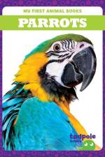 Parrots af Genevieve Nilsen