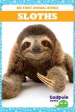 Sloths af Marie Brandle