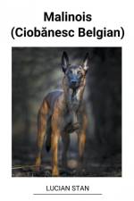 Malinois (Ciob¿nesc Belgian) af Lucian Stan