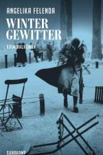 Wintergewitter af Angelika Felenda