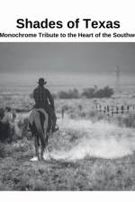 Shades of Texas af David Sechovicz