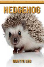 Hedgehog af Odette Leo