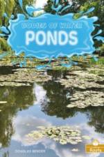 Ponds af Douglas Bender