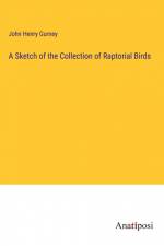 A Sketch of the Collection of Raptorial Birds