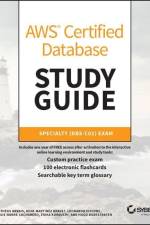 AWS Certified Database Study Guide af Matheus Arrais