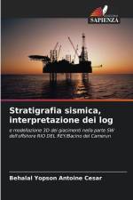 Stratigrafia sismica, interpretazione dei log af Behalal Yopson Antoine Cesar