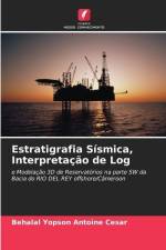 Estratigrafia Sísmica, Interpretação de Log af Behalal Yopson Antoine Cesar