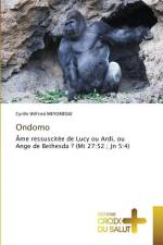 Ondomo af Cyrille Wilfried Meyomesse