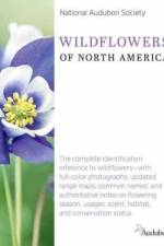 National Audubon Society Wildflowers of North America af National Audubon Society National Audubon Society