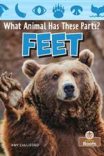 Feet af Amy Culliford