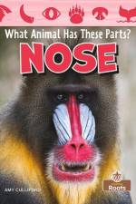 Nose af Amy Culliford
