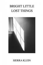 Bright Little Lost Things af Sierra Klein