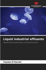 Liquid industrial effluents af Younes El Kacimi