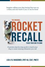 The Original Rocket Recall af Lisa Lyle Waggoner