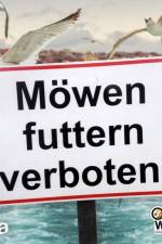 Möwen futtern verboten