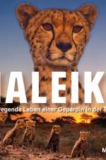 Maleika af Matto Barfuss