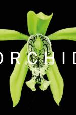 ORCHID af David A. Berry