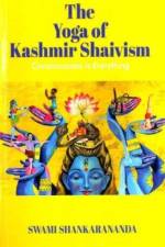 Consciousness is Everything af Swami Shankarananda