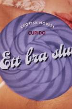 Ett bra slut - erotisk novell