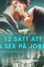 12 sätt att ha sex på jobbet - novellsamling af B. J. Hermansson
