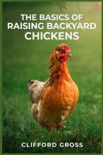 THE BASICS OF RAISING BACKYARD CHICKENS af Clifford Gross