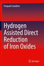 Hydrogen Assisted Direct Reduction of Iron Oxides af Pasquale Cavaliere