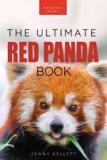 Red Pandas The Ultimate Book af Jenny Kellett