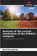 Analysis of the current constraints of the EFBACA company af David Ouangando