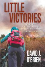 Little Victories af David J. O'Brien