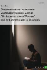 Substantivische und adjektivische Zusammensetzungen in Goethes 