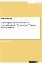 Marketingstrategien während der Corona-Pandemie. Praxisbeispiel 