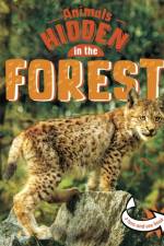 Animals Hidden in the Forest