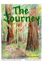 The Journey Life Lessons with Diane the Turtle af Jim Tonner