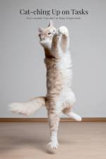 Cat-ching Up on Tasks af David Sechovicz