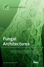 Fungal Architectures