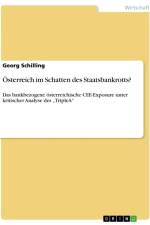 Österreich im Schatten des Staatsbankrotts? af Georg Schilling