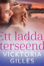 Ett laddat återseende - erotisk novell