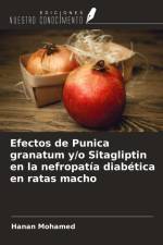 Efectos de Punica granatum y/o Sitagliptin en la nefropatía diabética en ratas macho af Hanan Mohamed
