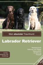 Mein absoluter Traumhund: Labrador Retriever af Miriam Valentin